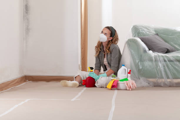 Trusted Attic Mold Removal service in Lebanon, PA - WQB Mold Removal