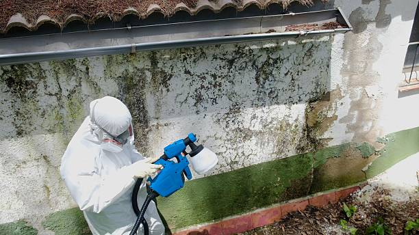 Top rated local Attic Mold Removal specialists in Lebanon, PA